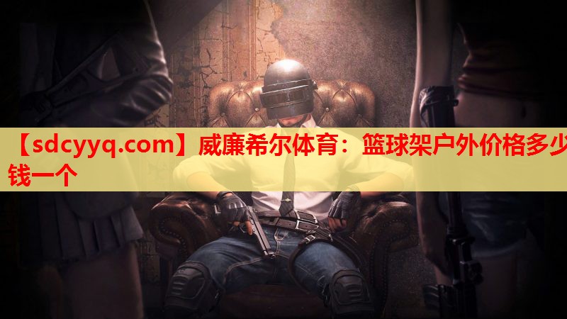 篮球架户外价格多少钱一个