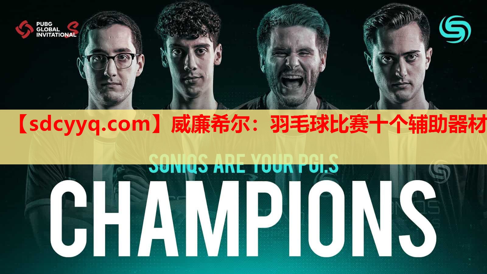 羽毛球比赛十个辅助器材
