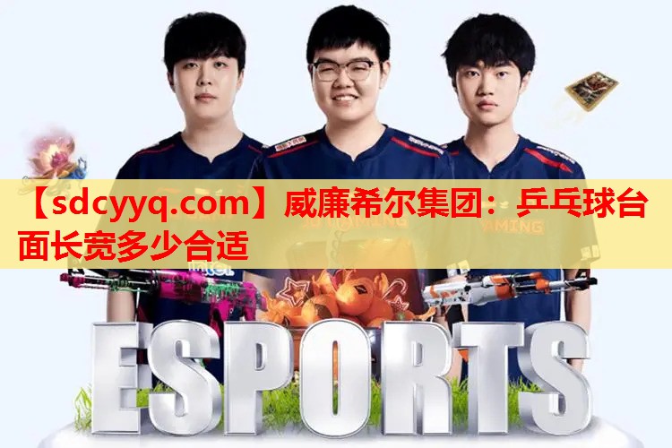 乒乓球台面长宽多少合适
